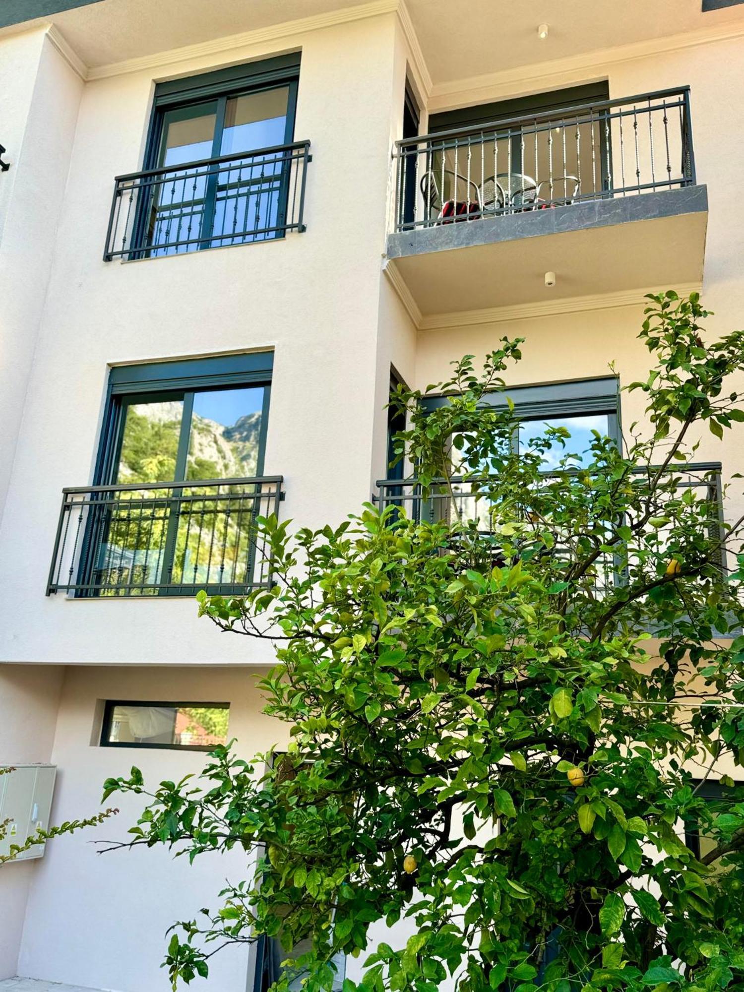 Harmony Garden Apartments Kotor Eksteriør bilde